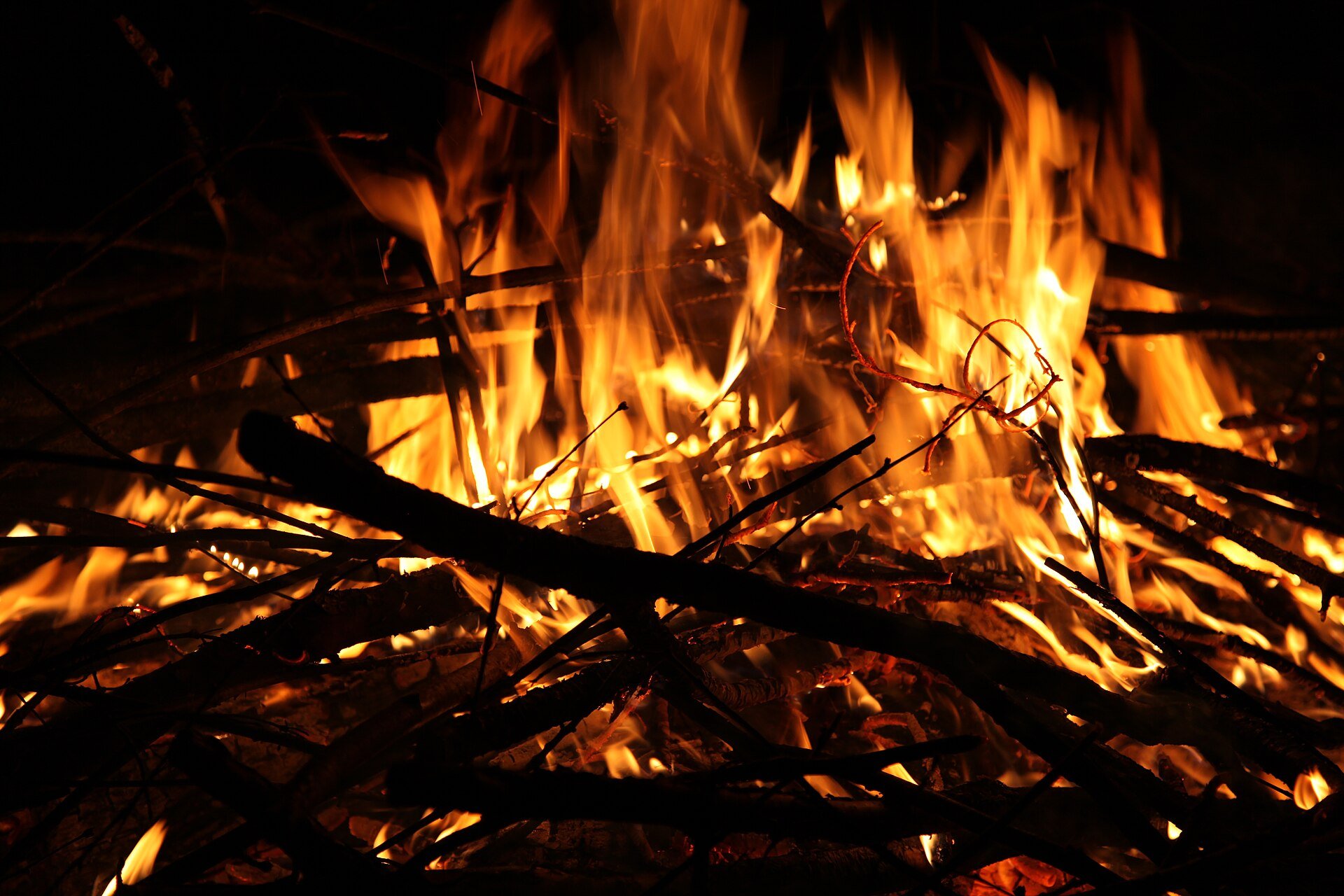 Fire Marshal Duties & Responsibilities: A complete guide