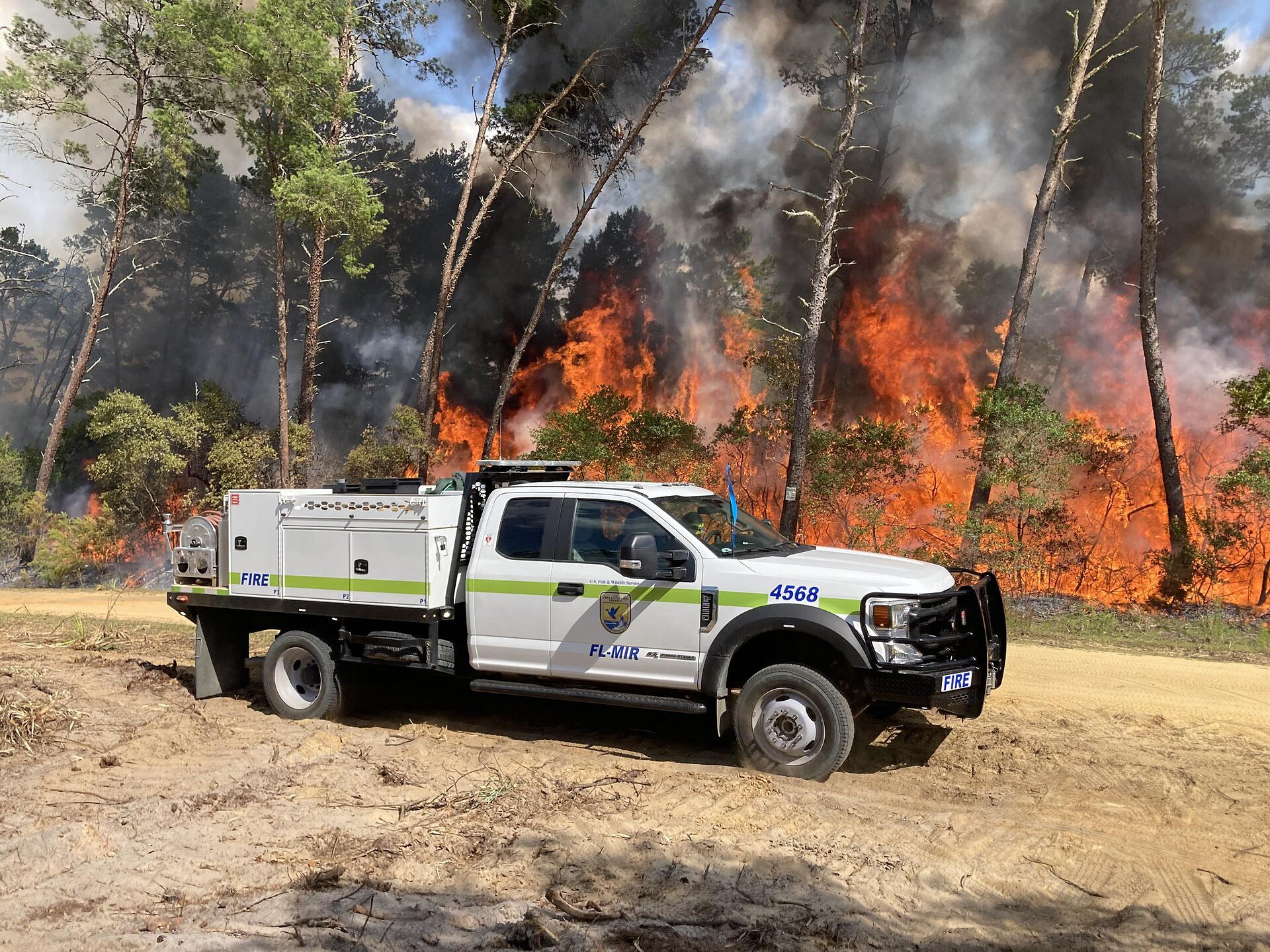 The 8 Best Wildland Firefighting Boots for 2026